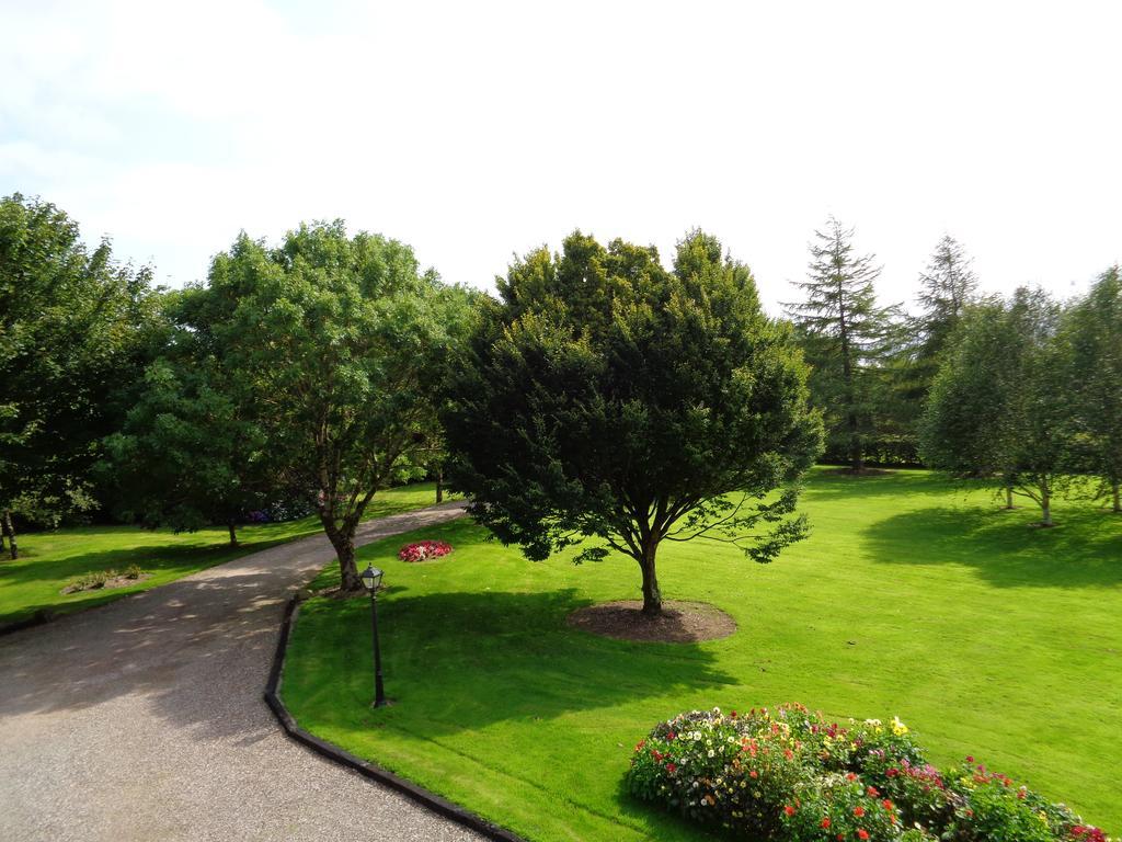 Bed and Breakfast Redwood Killarney Exterior foto