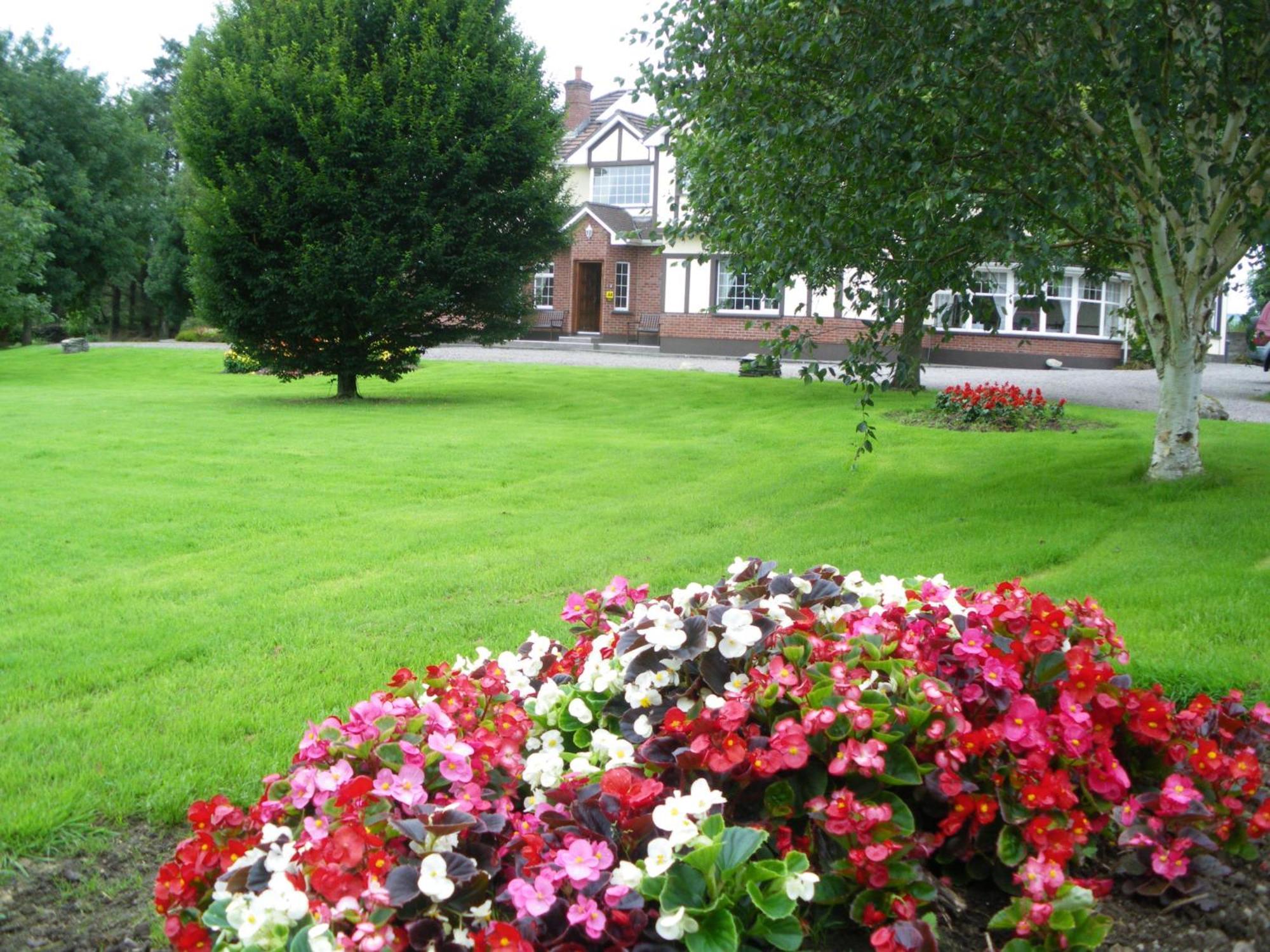 Bed and Breakfast Redwood Killarney Exterior foto