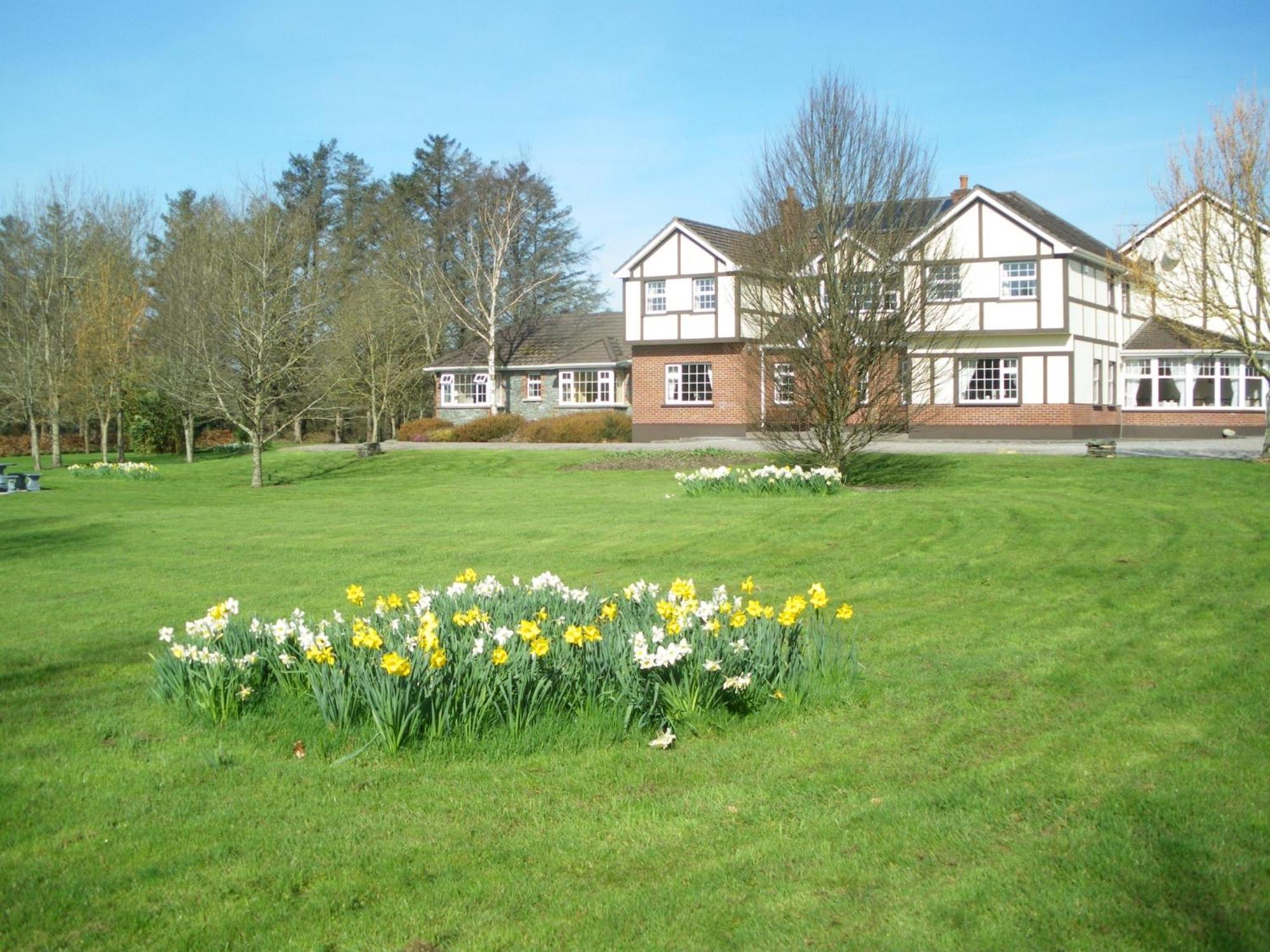 Bed and Breakfast Redwood Killarney Exterior foto