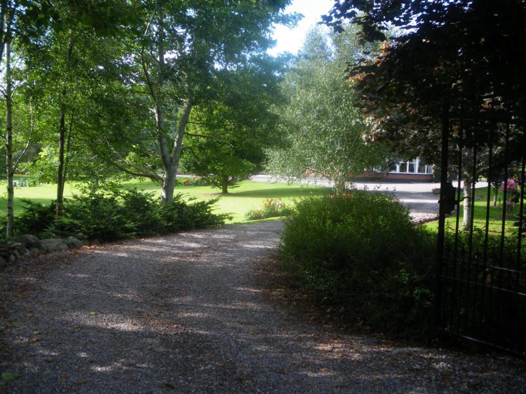 Bed and Breakfast Redwood Killarney Exterior foto