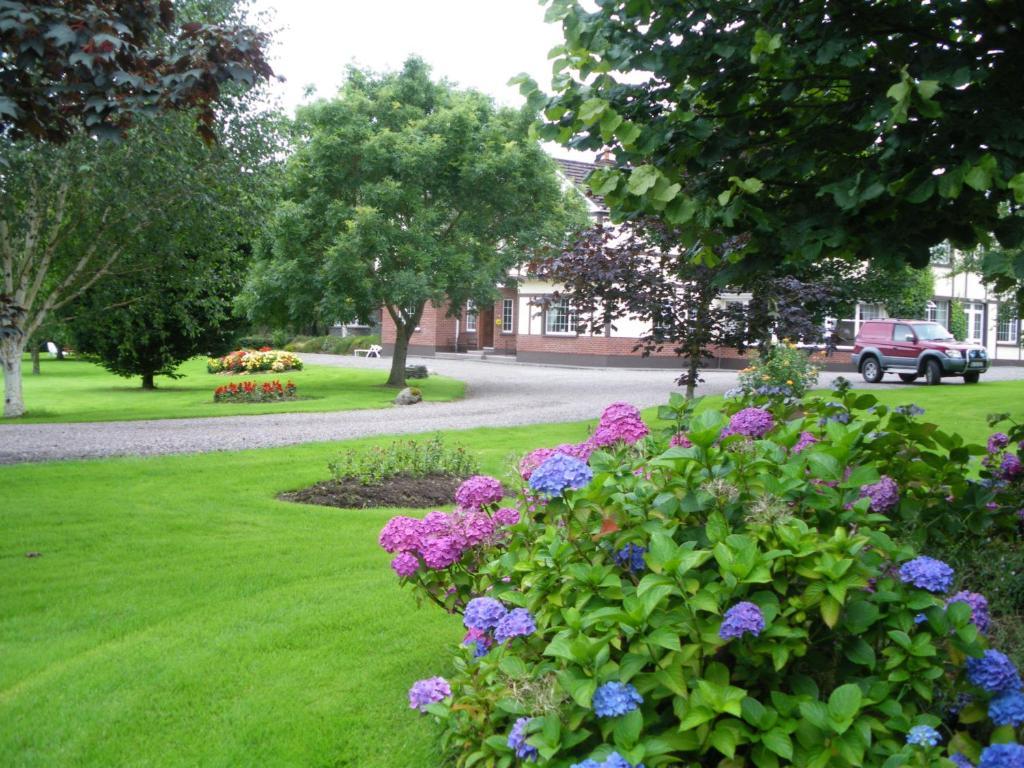 Bed and Breakfast Redwood Killarney Exterior foto